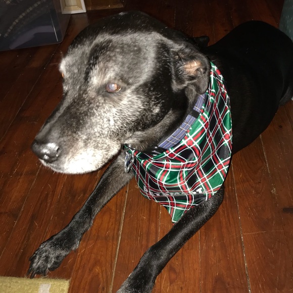 Hello! - Picture 4 of 8